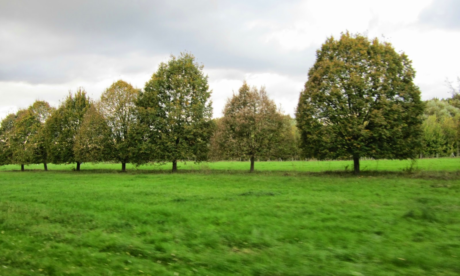 Onboardplan B Rhein 15