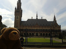 Teddy Bear in Hague
