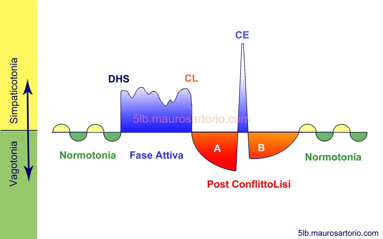 dermatite 5 leggi biologiche