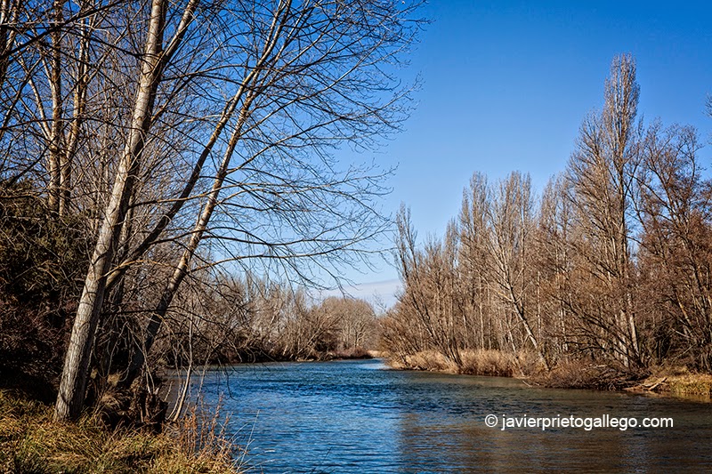 Tramo del GR-14 entre el monasterio de La Vid y Aranda de Duero. Burgos. Castilla y León. España. © Javier Prieto Gallego;