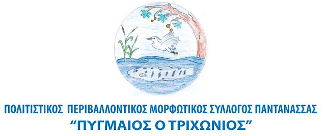 Αποτέλεσμα εικόνας για agriniolike πυγμαίος