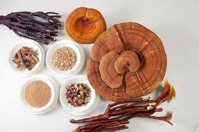Hàng ngàn chị em phụ nữ đã thay đổi cuộc sống nhờ Almonds 12 23130993 2025795697655861 781292949596376374 n