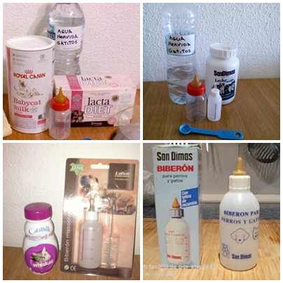 leche-gatos-bebes-alimentar-gatitos