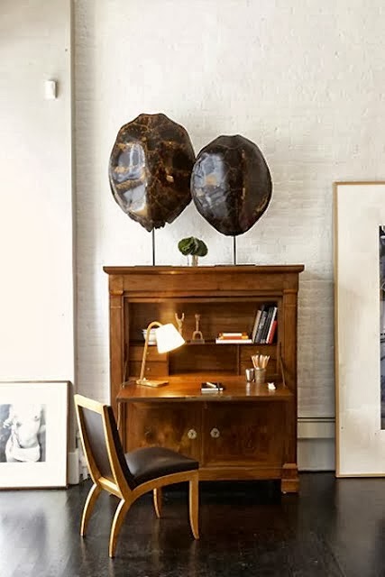 Eye For Design Decorating With The Whole Tortoise Shell