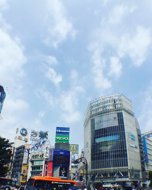 Tokyo day 3 Meiji Jingu shrine, omotesando, Tower Records, Shibuya and Hachiko statue