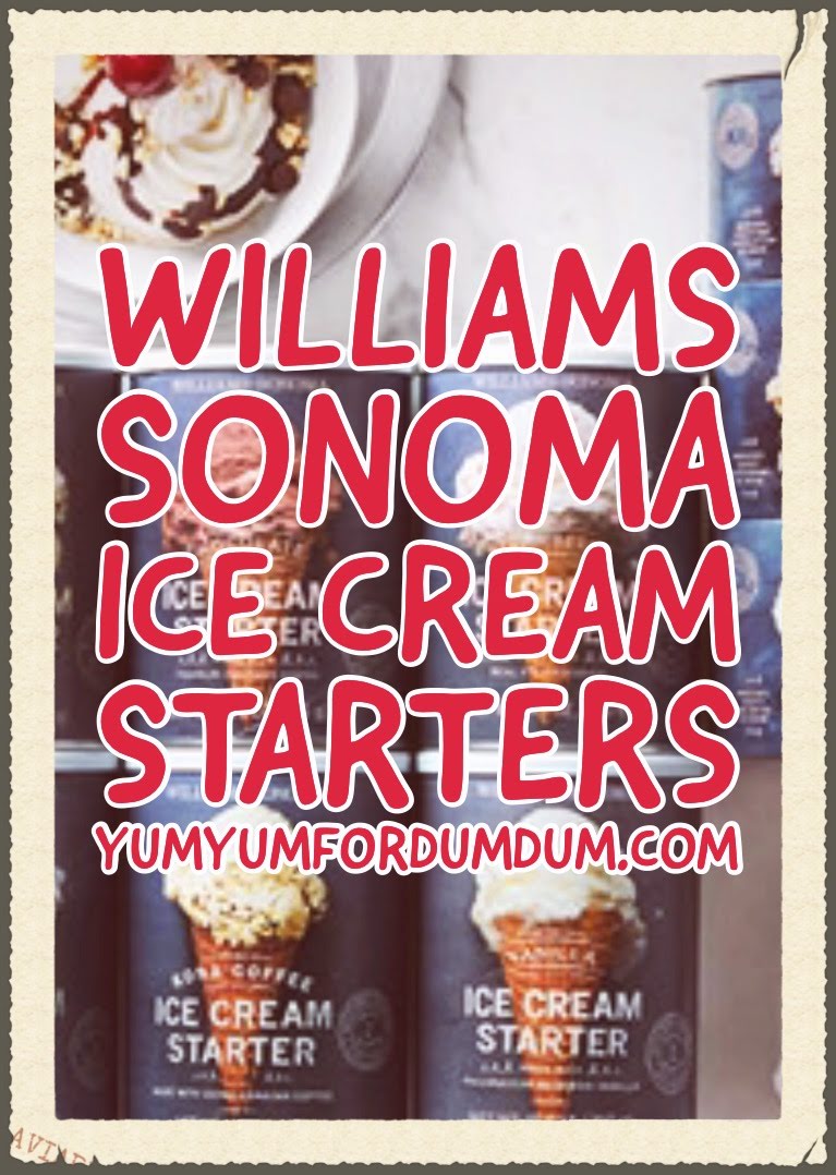 Yum Yum for Dum Dum WilliamsSonoma Ice Cream Starter