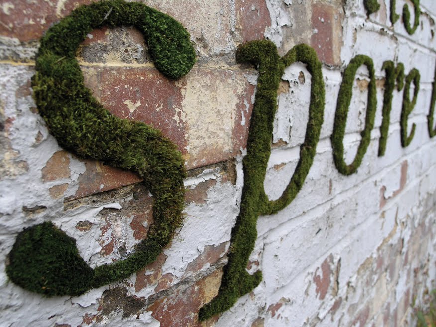 Nonnie's Blog Moss graffiti or garden decor