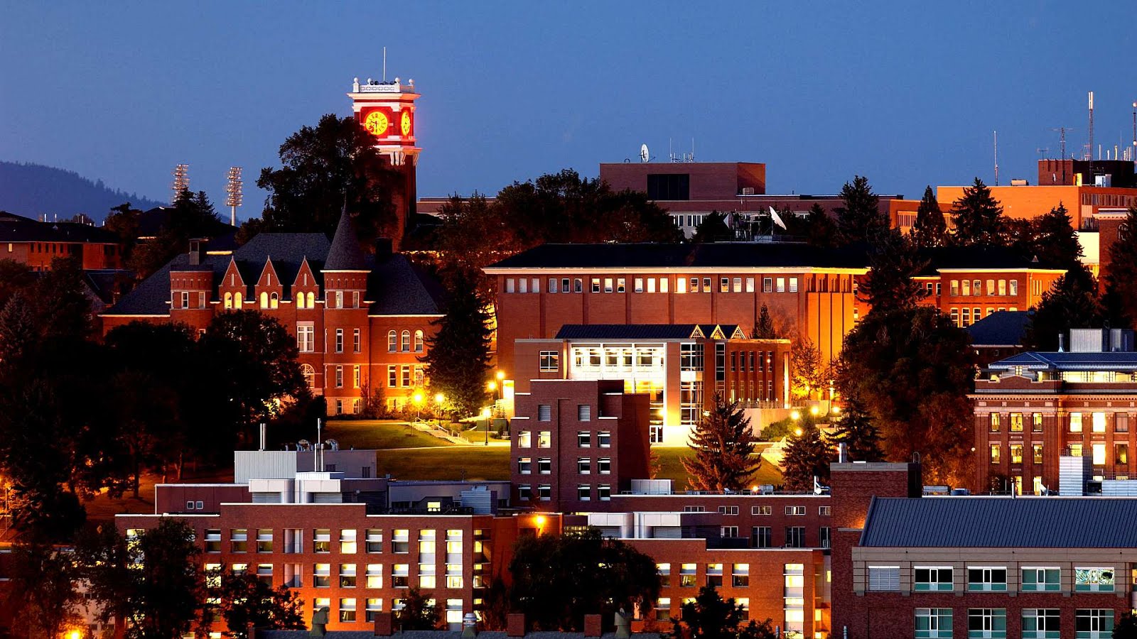 Princeton University Department of Psychology College College Choices