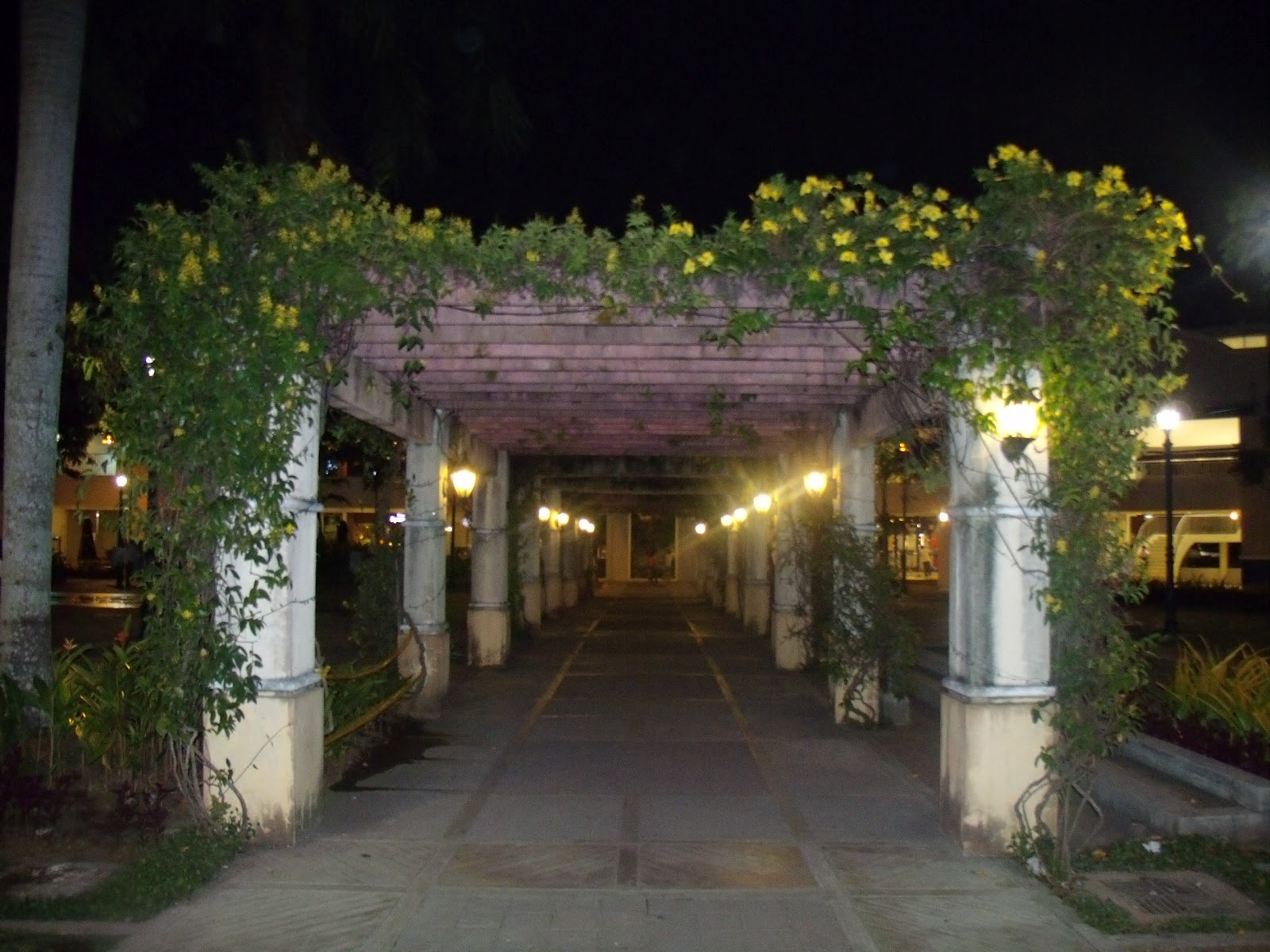 Viajeroking Paseo de Sta. Rosa Past and Present