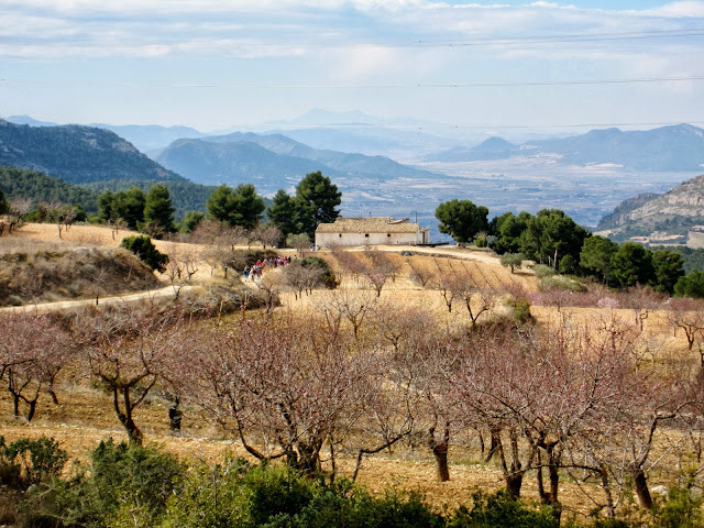 Mas de la Torreta