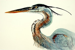 heron watercolor painting finishing paintings boat mania