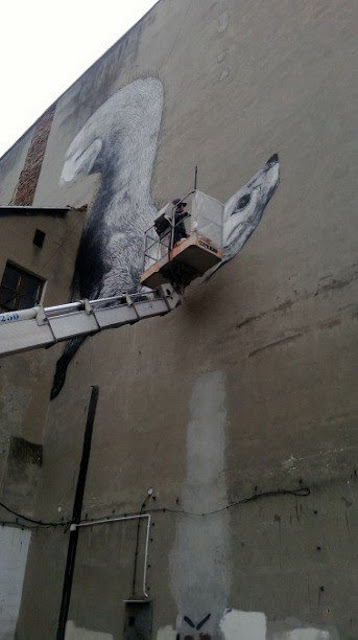 Street Artist ROA Working on a New Mural in Lodz, Poland for Fundacja Urban Forms. 3
