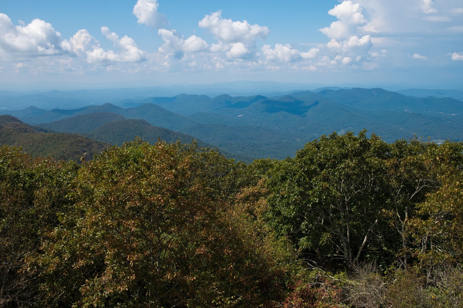 Hiking Shenandoah Brasstown Bald