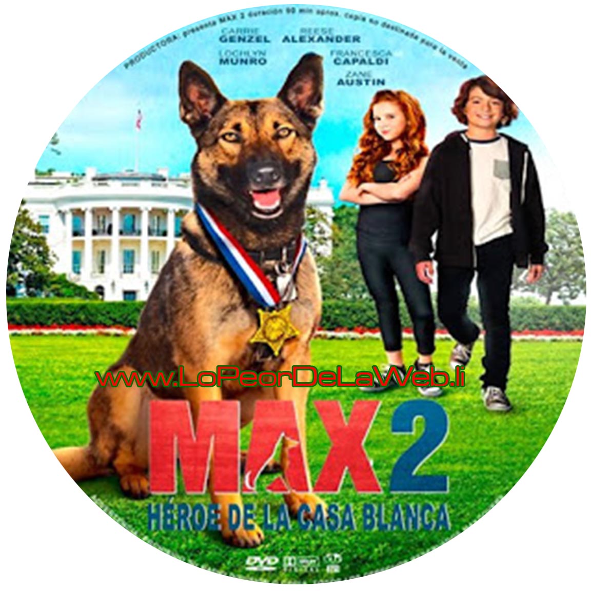 Max 2 (2017 - Latino / Inglés / Subtitulada / 1080 p)
