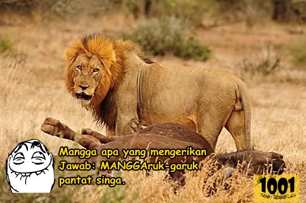 Tebak Tebakan Lucu Tebakan Lucu Kumpulan Tebakan Lucu Terbaru Gambar Tebak Tebakan Lucu Tebak Tebakan Lucu Tebakan Lucu Kumpulan Tebakan Lucu Terbaru Gambar Tebak Tebakan Lucu