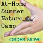 http://anaturalnester.blogspot.com/p/at-home-summer-nature-camp-ecurriculum.html