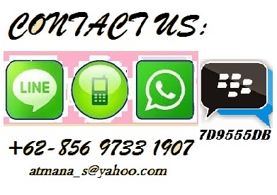 Contact Us: