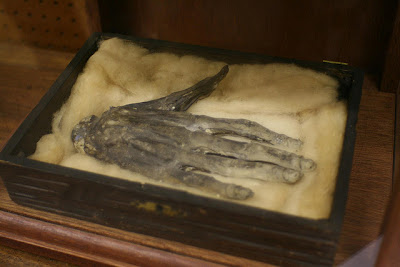 hand of glory at Whitby Museum