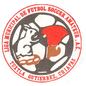 Liga Municipal