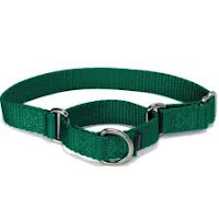 Martingale collar for Dogs