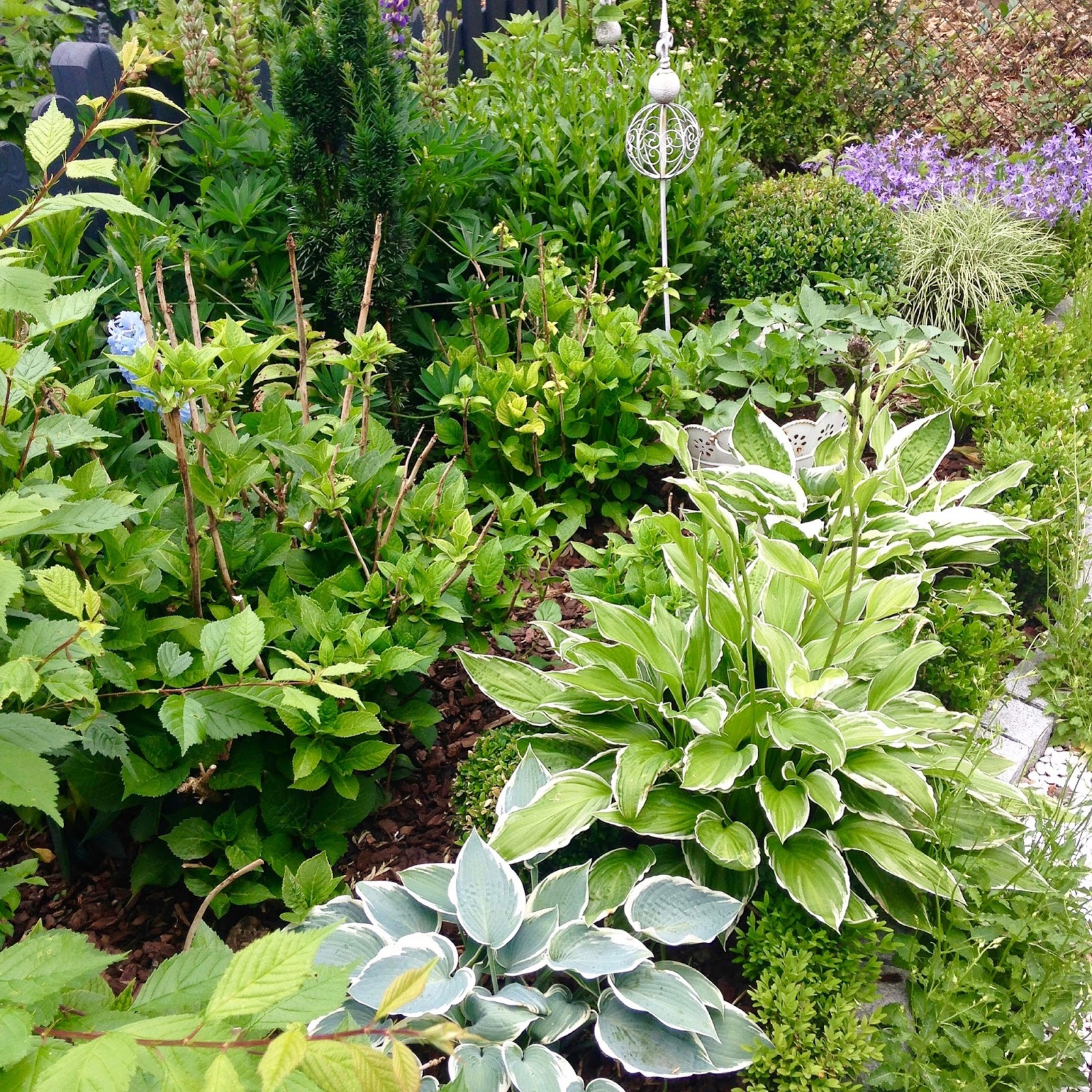 Glücksfeder: Sprießen, gießen und genießen: Mein schöner Garten ... Glücksfeder: Sprießen, gießen und genießen: Mein schöner Garten ...