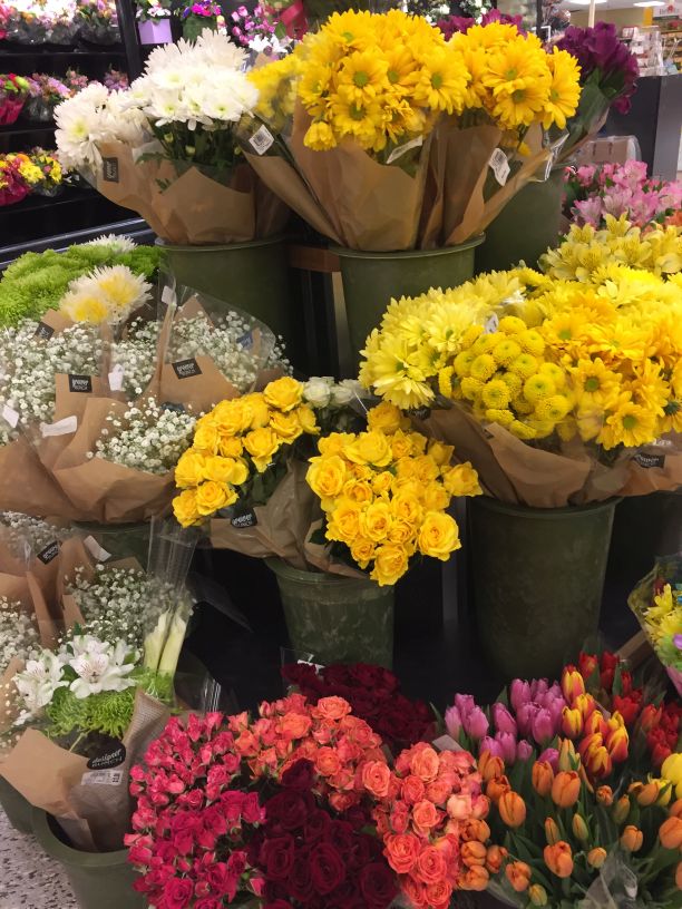 Sandpiper's Thoughts May 2017