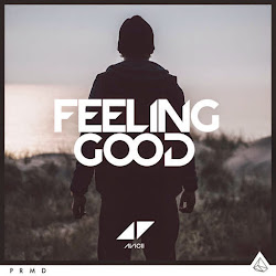 feeling mp3 avicii song kbps lyrics credits metro