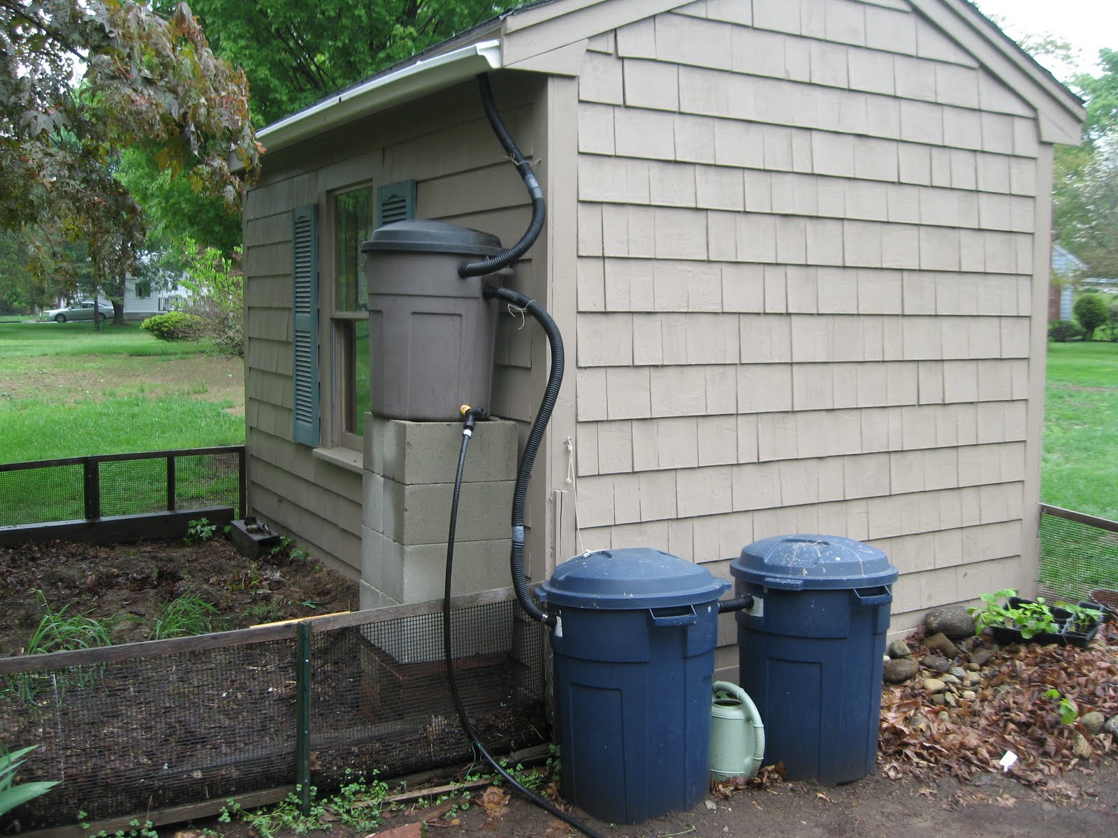 Open Nut Shell: Garden Plants and Rain Barrel Drip Irrigation