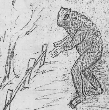 Mitos, Monstruos y Leyendas: La Rana Loveland