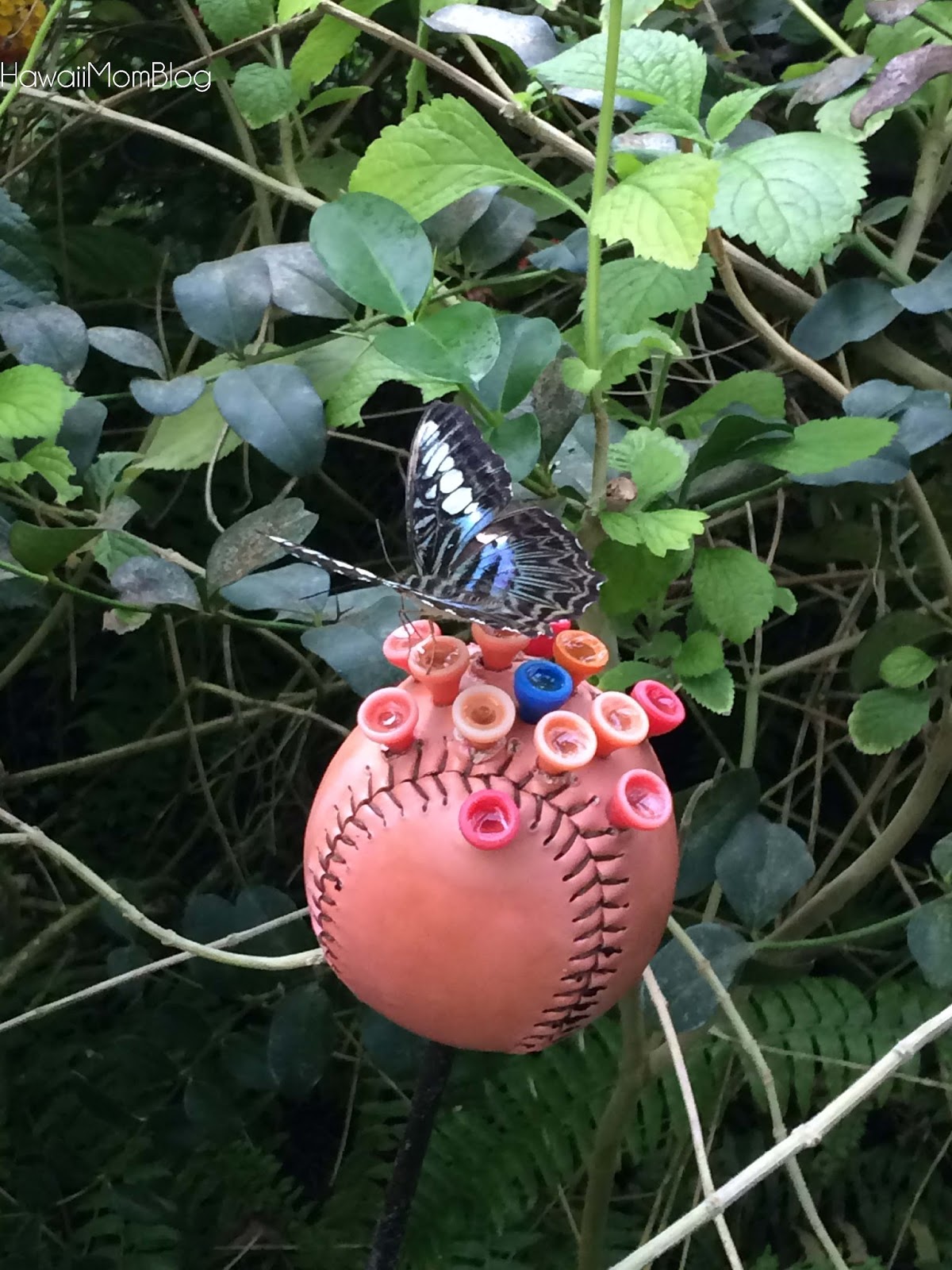 Hawaii Mom Blog Visit San Francisco Six Flags Discovery Kingdom