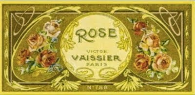 Rose Vaissier n° 788
