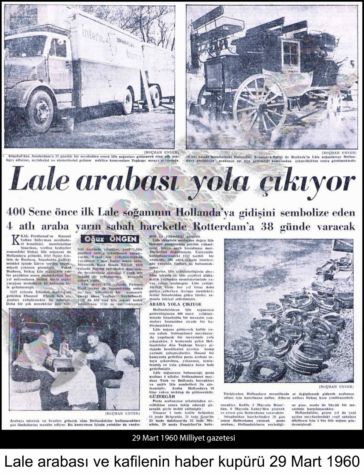 sinan arıktekin: LALENİN HOLLANDA'YA YOLCULUĞU