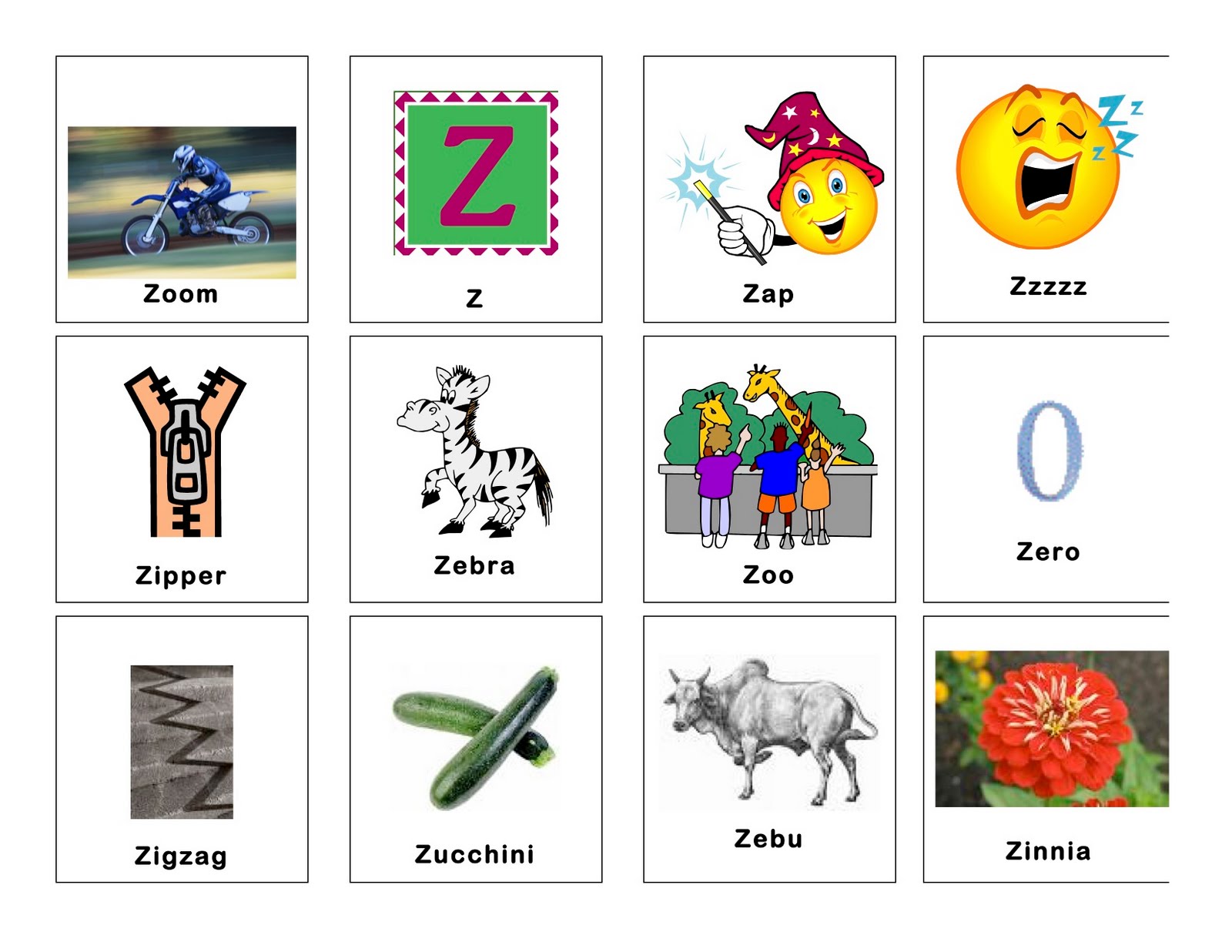 Pictures Of Words That Start With Z 96