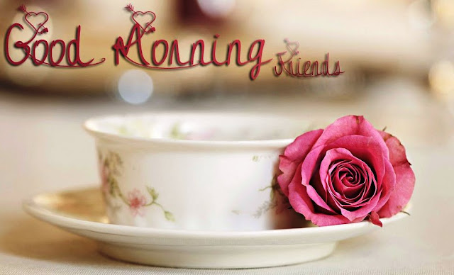 good morning rose images download good morning rose images download