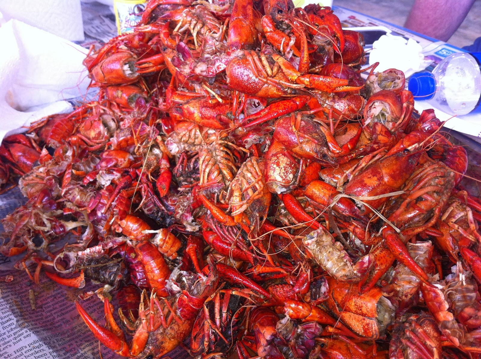 Planning And Foresight Yesterday's Crawfish Boil