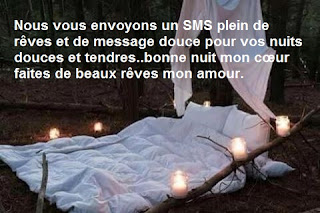 SMS et message bonne nuit mon amour image