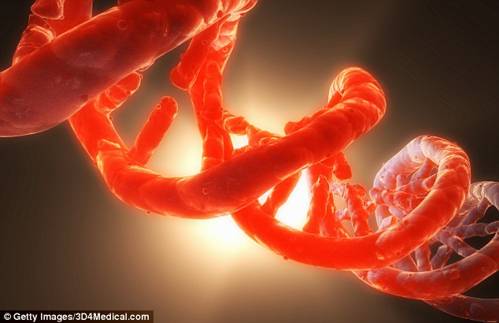Los científicos creen que la evolución de código genético se estancó debido a las limitaciones en la forma en que el ADN se traduce para producir proteínas.