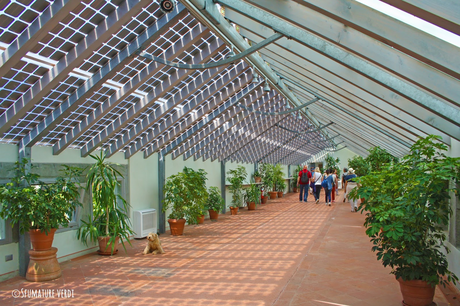 Sfumature verdi: luglio 2016 Giardino Serra idee