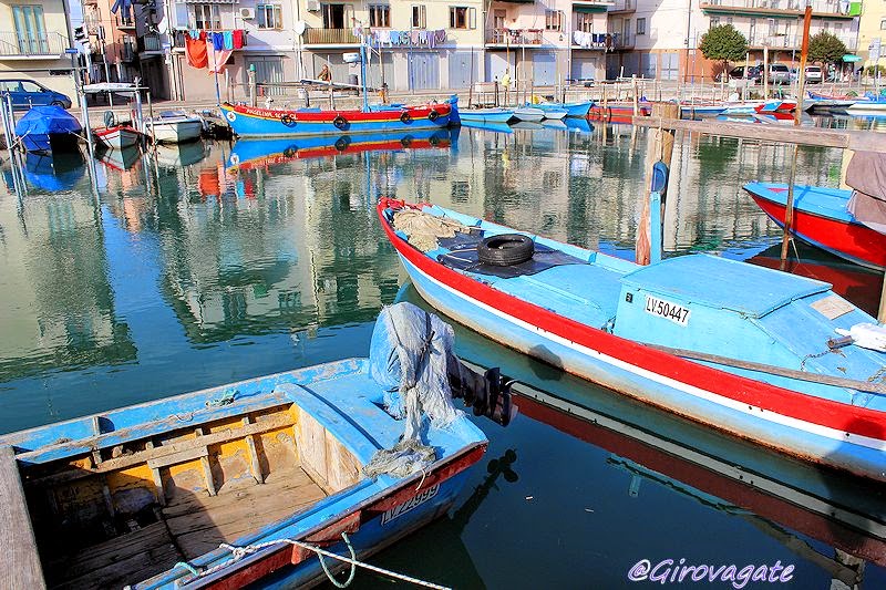 chioggia