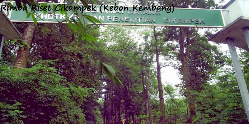 Rimba Riset Cikampek