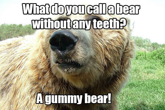 Stupid Jokes Photos Stupid Jokes Photos