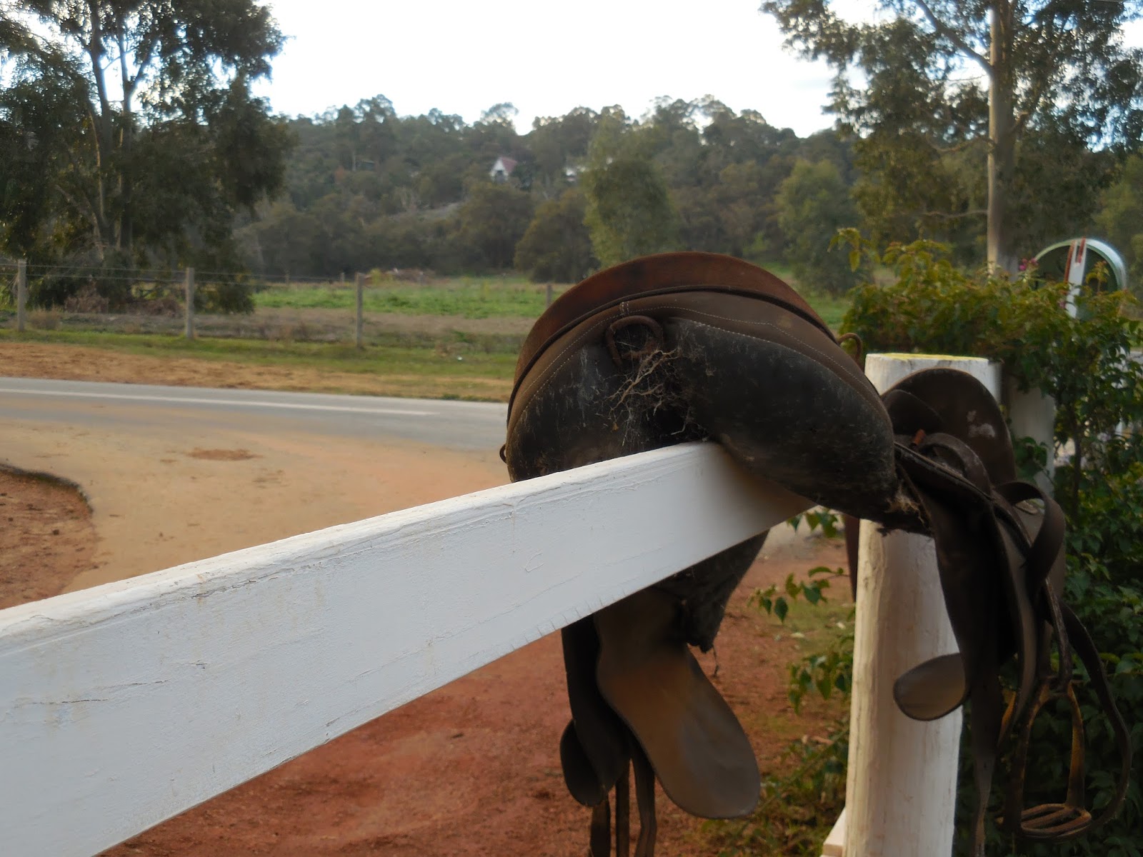 DESTINY KNOWN: Winter in Perth, horse riding