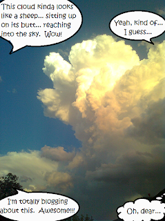 Speech bubbles surrounding a cloud: "This cloud kinda looks like a sheep... sitting up on its butt... reaching into the sky.  Wow!" "Yeah, kind of... I guess..." "I'm totally blogging about this.  Awesome!!!" Thought bubble: "Oh, dear..."