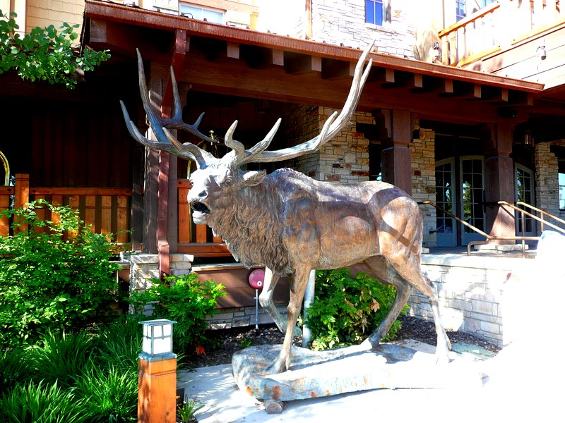 Life with Roz and Mike Moose Everywhere