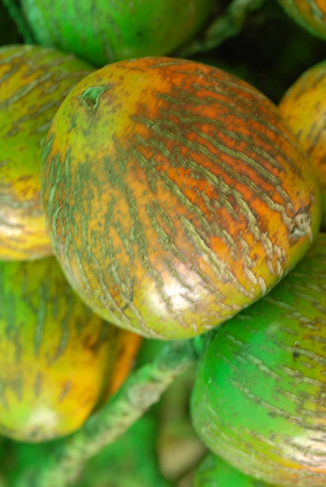 KANUTTO FUENTES PHOTOGRAPHY Quepos, Costa Rica Farmers Market