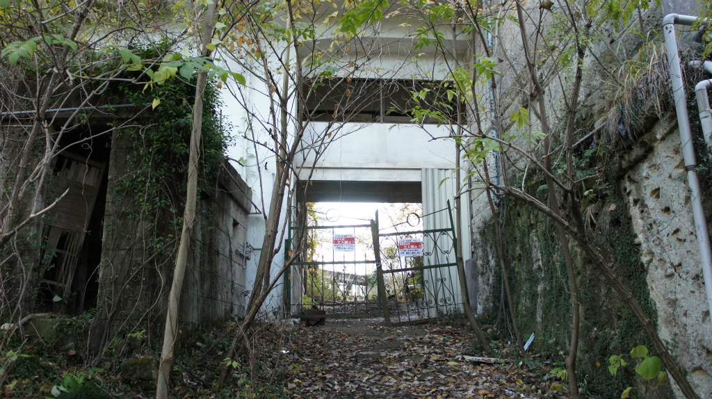 廃墟ときどき猫 栃木県 山本園大谷グランドセンター