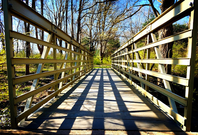 Another Bridge on the McDade Trail