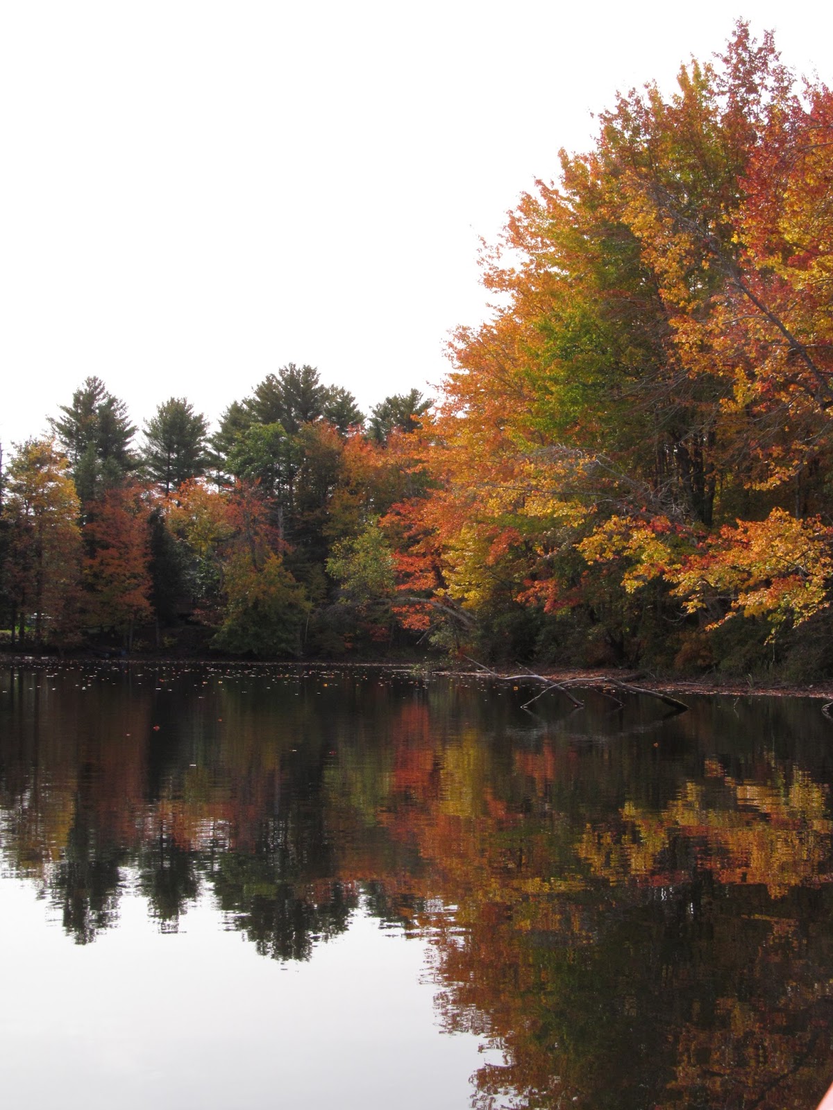 Recreational Kayaking in Maine: Nezinscot River Turner Maine