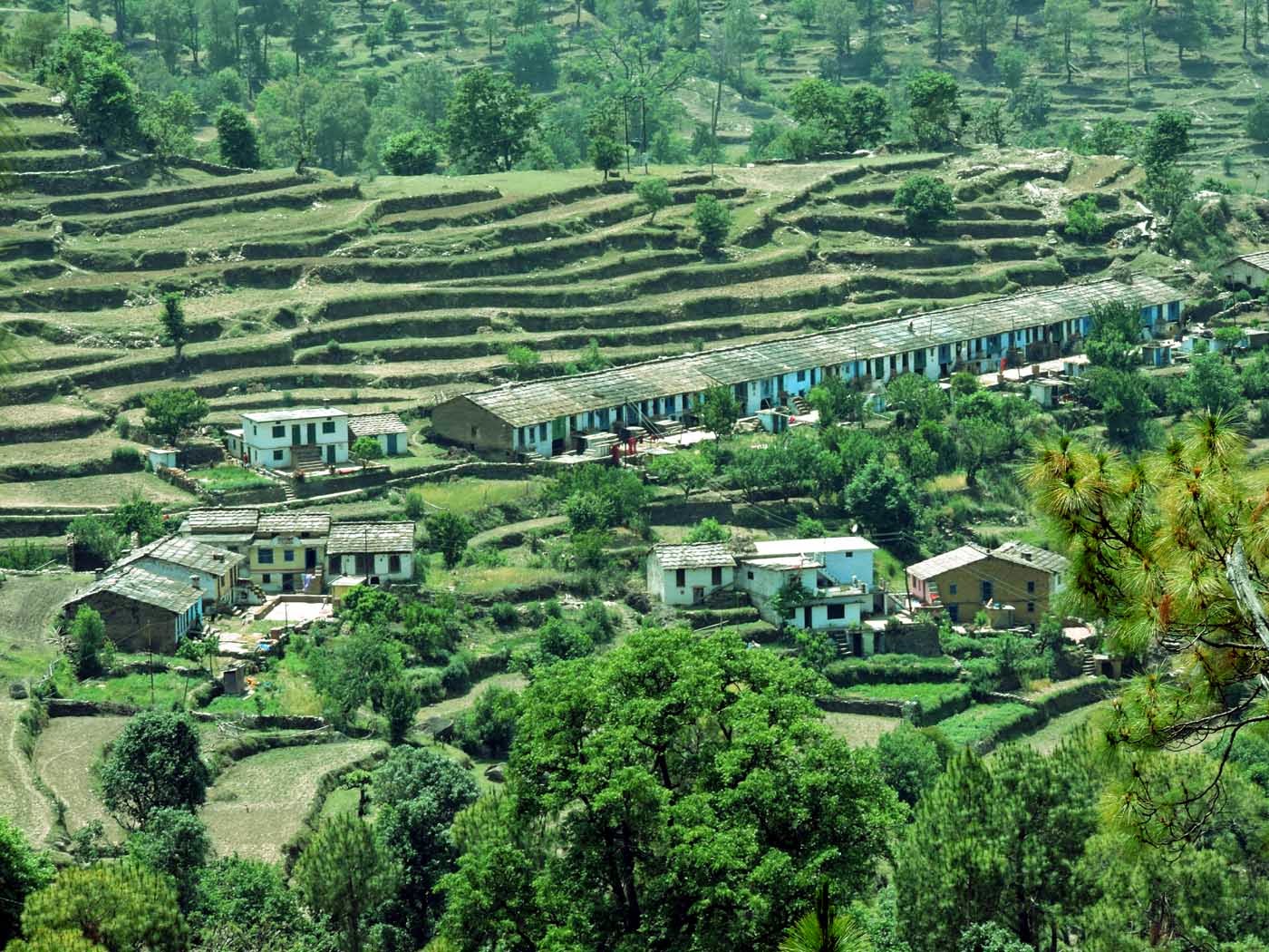 <strong>नैनीताल जनपद के ग्राम कुमाटी स्थित कुमाऊँ मंडल की सबसे लंबी बाखली 50 लाख रुपए से होगी पुर्नजीवित</strong>