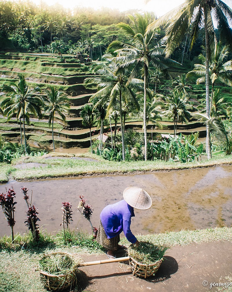 Bali Whole Day Tour: Things To Do In Bali, Indonesia